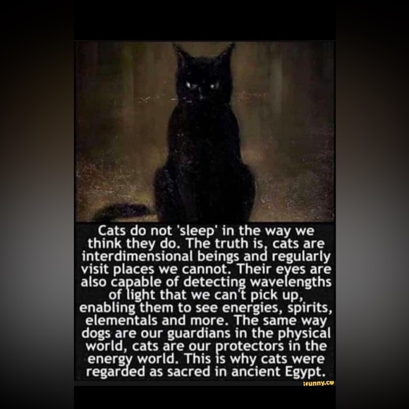 $6 Moon Stone Cat and Moon Necklace. $6 if bundled - Picture 9 of 15